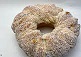 グアバリング　/　ROSCA DE GOIABADA